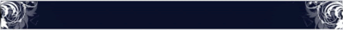 ss-6.gif