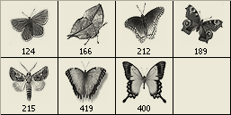 image.gif