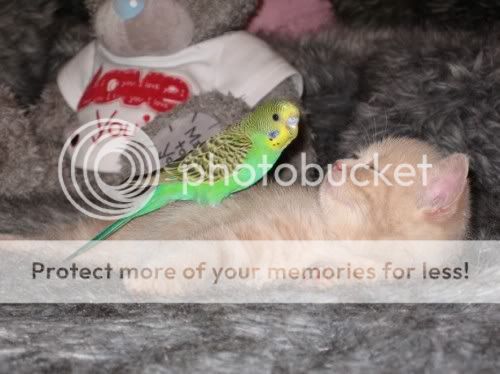 file002.jpg