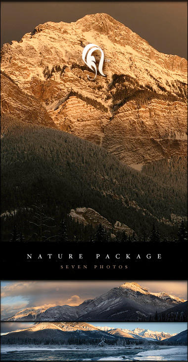 Package___Nature___14_by_resurgere.jpg
