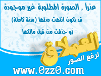 998348113.jpg