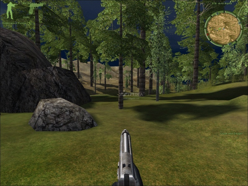 351.jpg