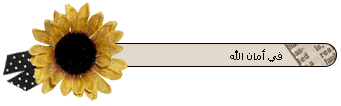 um-wal12.gif