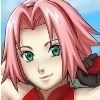 th_Sakura.jpg