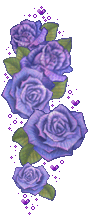 1146487vn68pl6ifb.gif