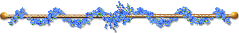 barra210.gif