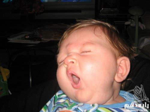 yawn4.jpg