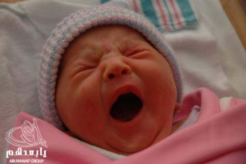 yawn5.jpg