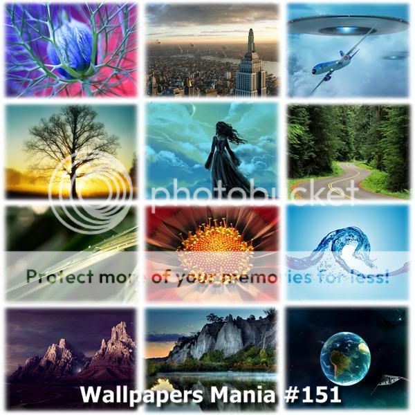 WaMa_151.jpg