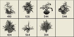 image.gif