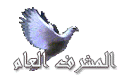 50389.imgcache.gif