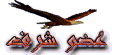 50387.imgcache.gif