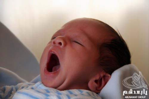 yawn7.jpg