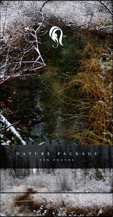Package___Nature___6_by_resurgere.jpg
