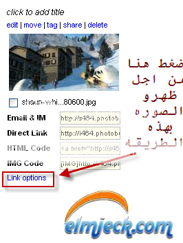 elmjeck-ffc70b5a4f.png