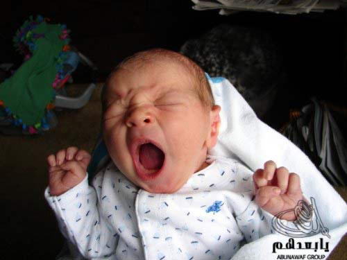 yawn2.jpg