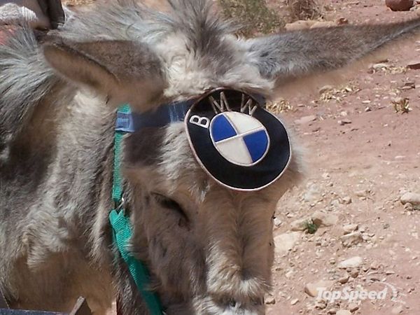 bmw-mule-1w.jpg