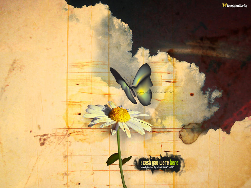 I_wish_You_were_here_by_lovelybutterfly.jpg
