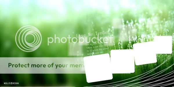 Collage_13.jpg