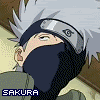 th_sakura.gif