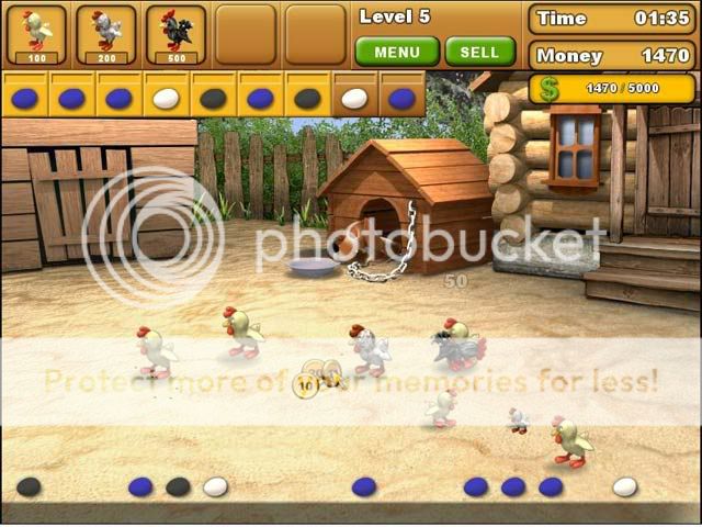 Chicken02Chase.jpg