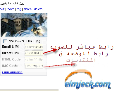 elmjeck-463487459a.png