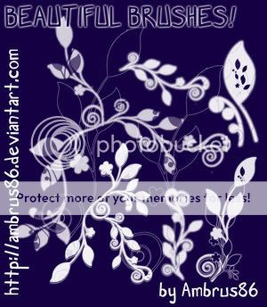 BeautifulBrushes_by_Ambrus86.jpg