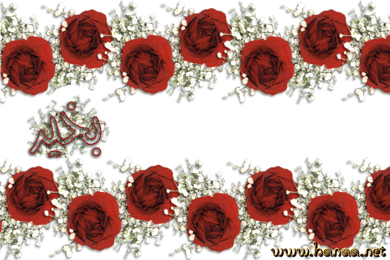 11667.imgcache.gif