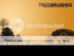 Tree_Brushes_by_JavierZhX.jpg