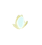 309.gif
