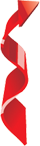 11.png
