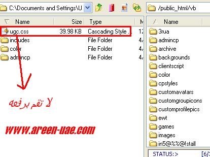 81669.imgcache.jpg