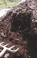 compostpile.jpg
