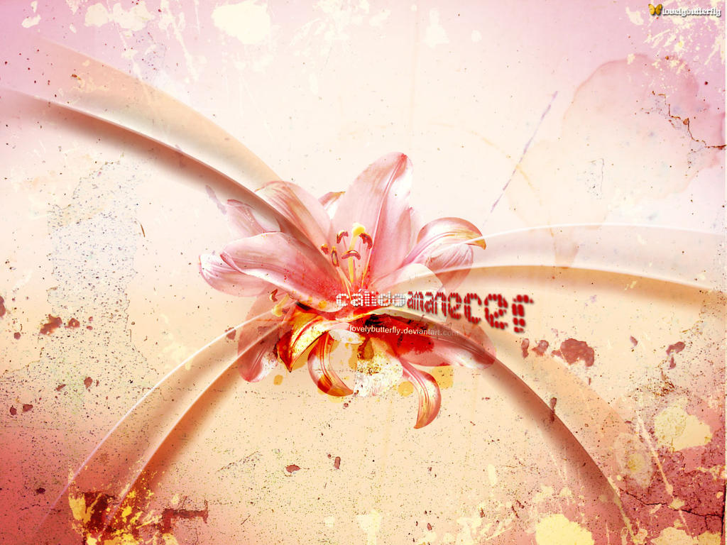 Calido_Amanecer_by_lovelybutterfly.jpg