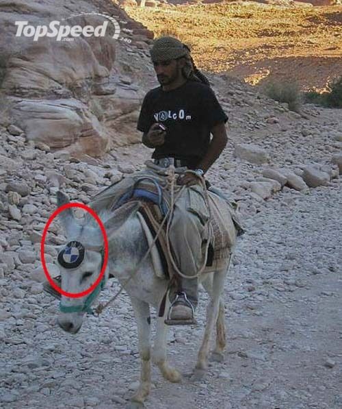 bmw-mulew.jpg