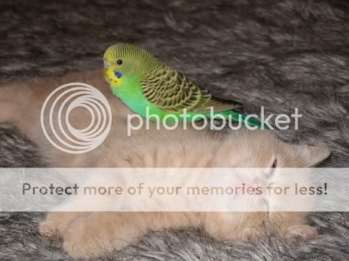 file004.jpg