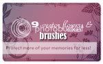 Vector_Flowers_vines_Brushes_by_spi.jpg