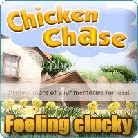 Chicken01Chase.jpg