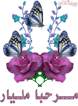flowerpurple_btfly2.gif