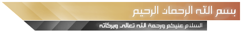 51trnp.jpg.png