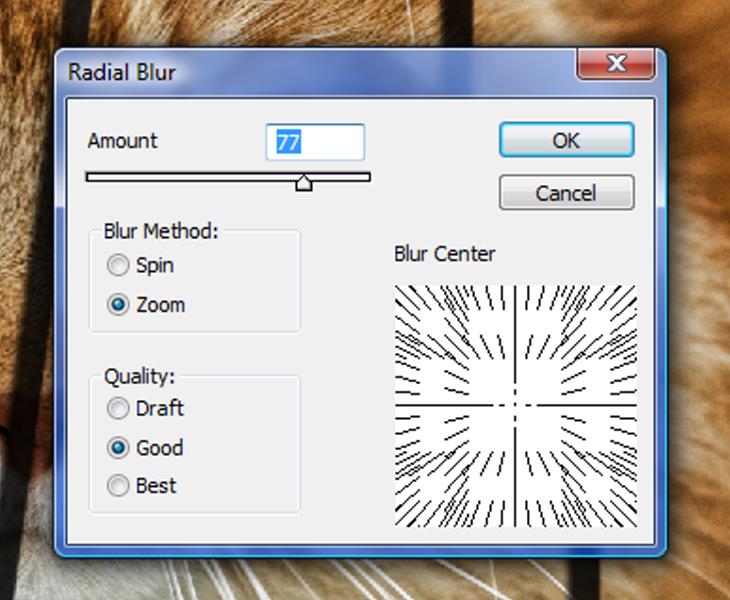 Text19.jpg