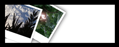 polaroid.gif