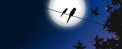 thenight.gif