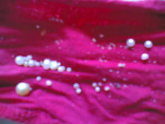 57247712_753a37dd50_m.jpg