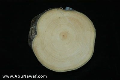 s2.jpg