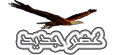 50386.imgcache.gif