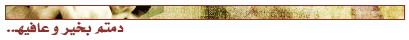 s2.gif