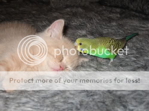 file005.jpg