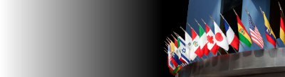 top_flags.jpg